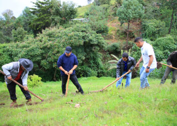 Programas que fortalecen la producción local y garantizan alimentos
