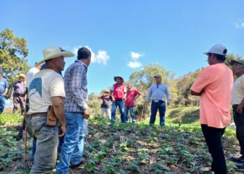 Promotores de CADER capacitados en manejo tecnificado de maíz y frijol