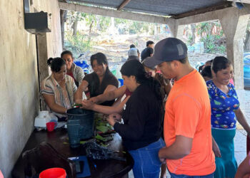 Promueven el aprovechamiento de la sábila para fortalecer la economía familiar