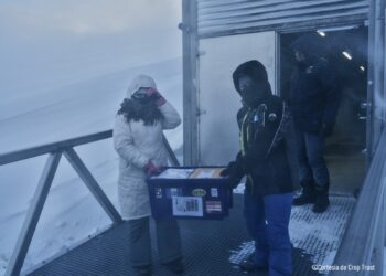 Semillas de Guatemala arriban a “Bóveda del Fin del Mundo”