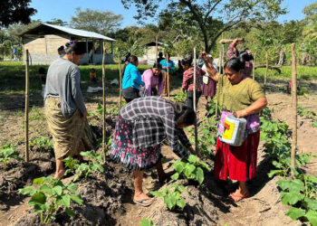 Semillas que se transforman en oportunidades para mujeres de Ixcán