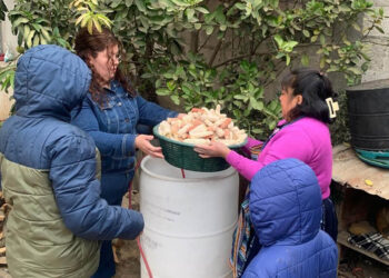 Tecnifican la producción de hongo ostra en el CADER “Mujeres Virtuosas”