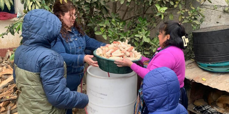 Tecnifican la producción de hongo ostra en el CADER “Mujeres Virtuosas”