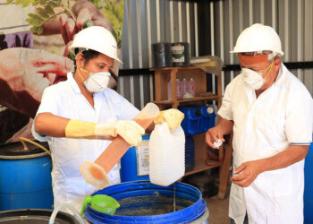 Uso de abonos orgánicos fortalece la producción agrícola familiar