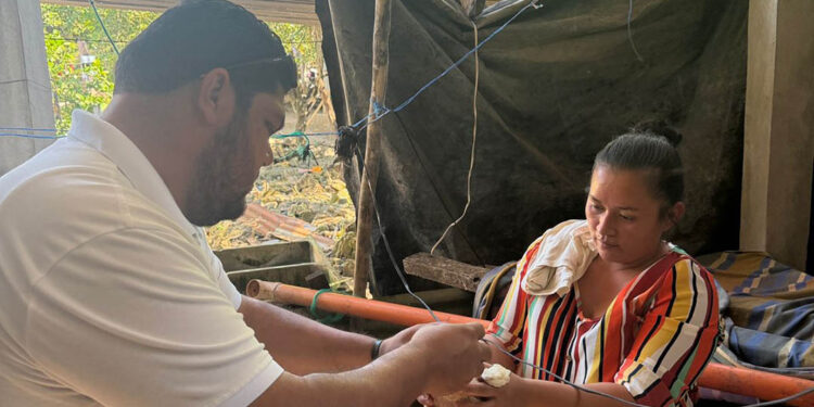 Vacunación y buenas prácticas para el cuidado de las aves