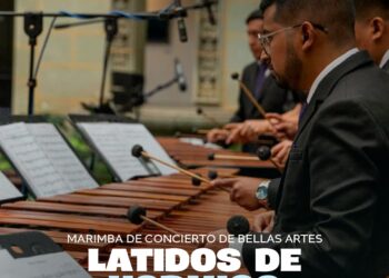Marimba de Concierto de Bellas Artes: Latidos de Hormigo