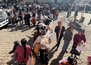 De patio vacío a mesa con comida: familias siembran futuro en casa