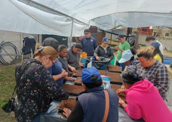 Sembrando futuro: mujeres de Esquipulas transforman el huerto en emprendimiento