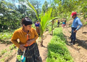 Mujeres Q’eqchi’ cultivan esperanza y alimento en Ixcán