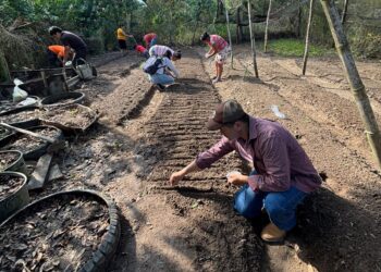 Siembra de hortalizas fortalece agricultura familiar en Esquipulas