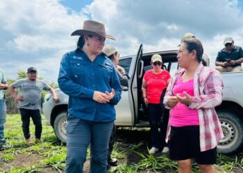Agricultura regenerativa avanza en la restauración de tierras en Petén