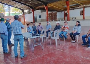 Promotores agrícolas y técnicos AMER coordinan estrategia para ciclo de granos básicos