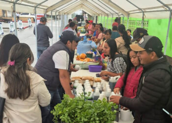 Feria del Agricultor en Alta Verapaz impulsa hortalizas de calidad