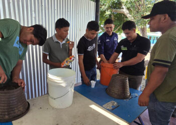 Alumnos aprenden producción de abono orgánico de la lombriz roja