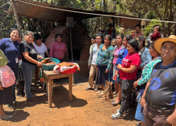 Capacitan a grupos CADER en la transformación de banano