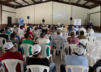 Capacitan a productores en Izabal para prevenir y controlar el Gusano Barrenador