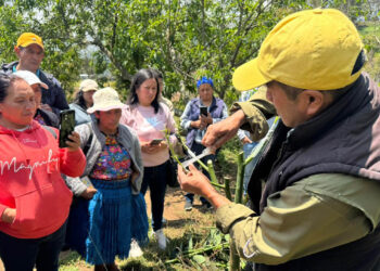 Capacitan a promotoras rurales en manejo fitosanitario de árboles frutales