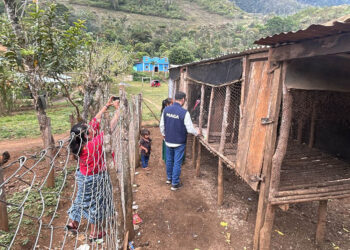 Comunidades impulsan proyectos productivos para fortalecer su desarrollo local