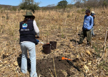 Continúa toma de muestras de suelo en Huehuetenango para elaborar mapa de fertilidad