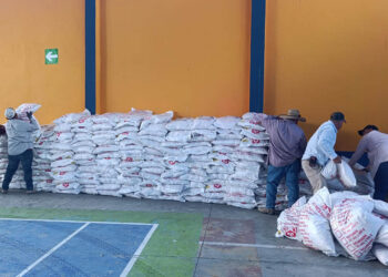 Coordinan recepción de alimentos para hogares con inseguridad alimentaria en Ipala