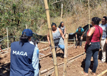 Cuando la comunidad se organiza, el alimento se multiplica