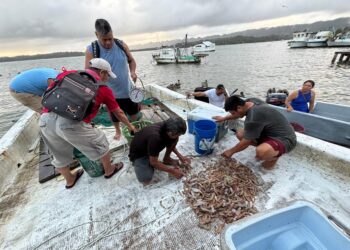 Decretan veda pesquera en el Caribe para proteger especies marinas y continentales