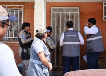 Denuncias con evidencia facilitan la atención de casos de maltrato animal
