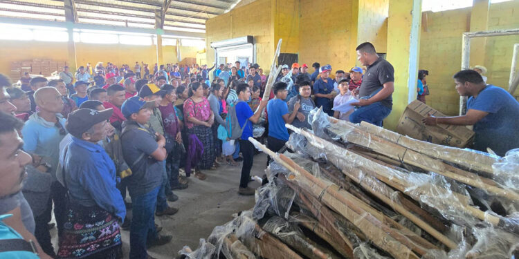 El Sistema Patio germina en las comunidades