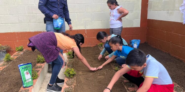 El espacio en el que se cultivan alimentos y valores