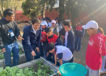 En el huerto escolar los estudiantes aprenden del campo a la mesa