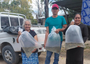 Entrega de alevines fortalece acuicultura en Petén