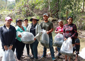 Entrega de más de 28 mil alevines fortalece seguridad alimentaria en Petén