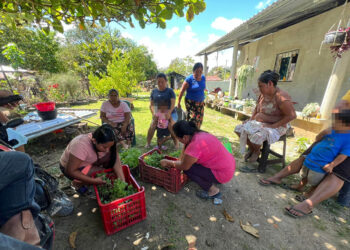 Entregan pilones en Sayaxché, Petén