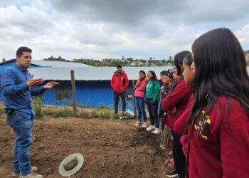 Estudiantes cultivan su propio alimento