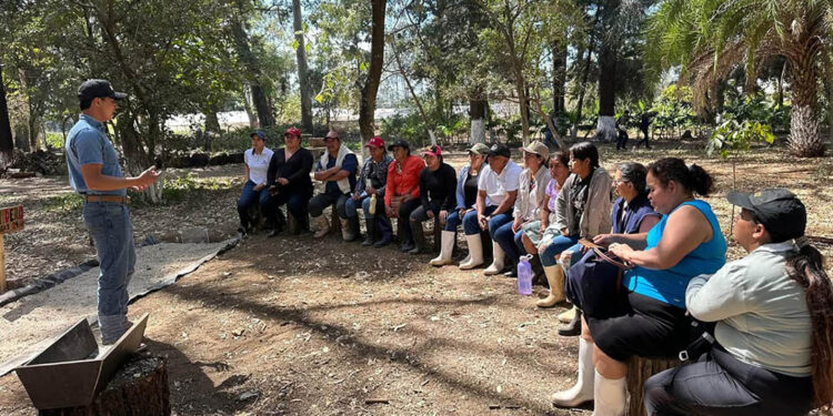 Estudiantes de la ENCA capacitan a 120 agricultores con metodología “Campesino a Campesino”