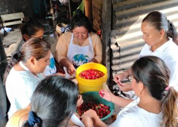 Familias de Escuintla aprenden técnicas de conservación y emprendimiento