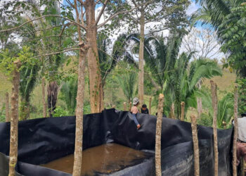 Familias de San Luis aseguran agua para sus cultivos en época seca