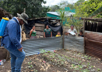 Familias mejoran sus cultivos con asistencia técnica en El Chal
