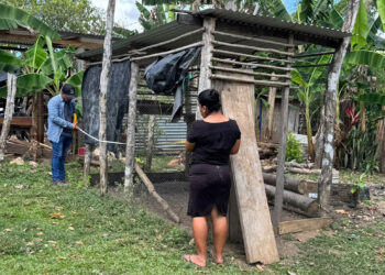 Familias peteneras fortalecen su producción con huertos, gallineros y charcas artesanales