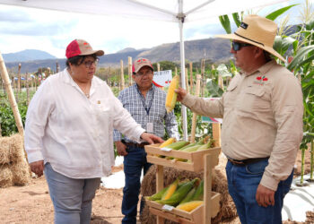 Finca experimental muestra avances en semillas mejoradas para hortalizas y frutas