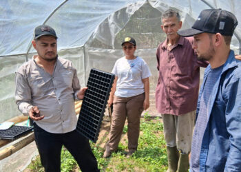 Fortalecen el agro en el oriente con el uso de macrotúneles y pilones