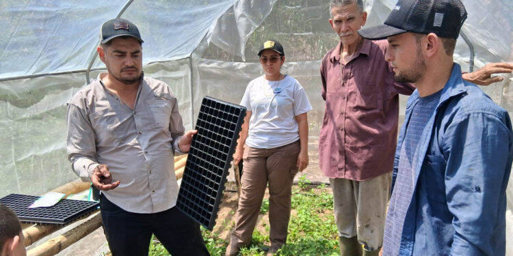 Fortalecen el agro en el oriente con el uso de macrotúneles y pilones