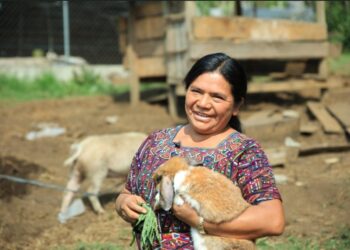 Mujeres que transforman el campo y producen alimentos