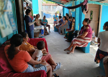 Implementan huertos familiares en Melchor de Mencos