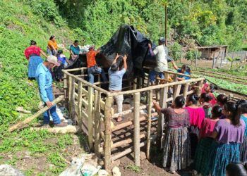 Implementan sistema de riego por goteo en Alta Verapaz