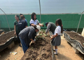 Impulsan el aprendizaje agrícola con huerto pedagógico