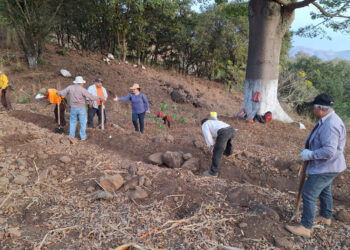 Impulsan la conservación de suelos en San Pedro Ayampuc