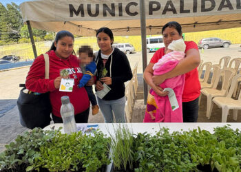 Impulsan la seguridad alimentaria con entrega de pilones en Fraijanes