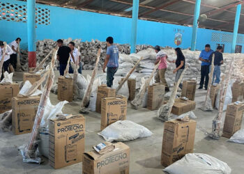Impulsan producción de alimentos en hogares de Tactic