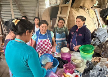 Innovación culinaria fortalece la seguridad alimentaria
